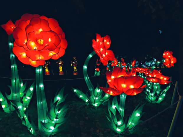 Chinese Lantern Festival in Spokane - ©2016 Brandon Mauth